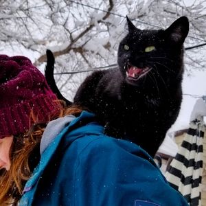 Meet your Posher, Lindsey